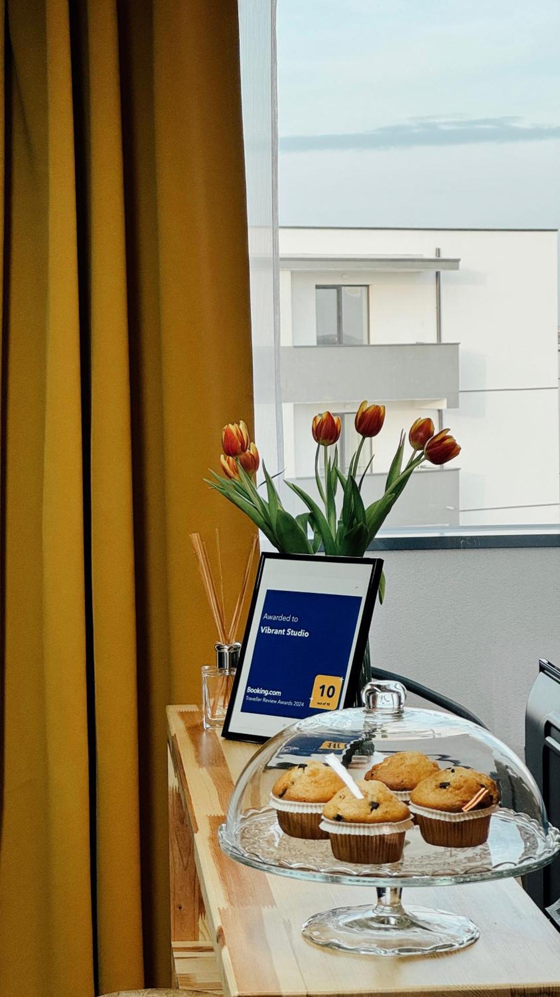 Vibrant Studio Timișoara Zewnętrze zdjęcie